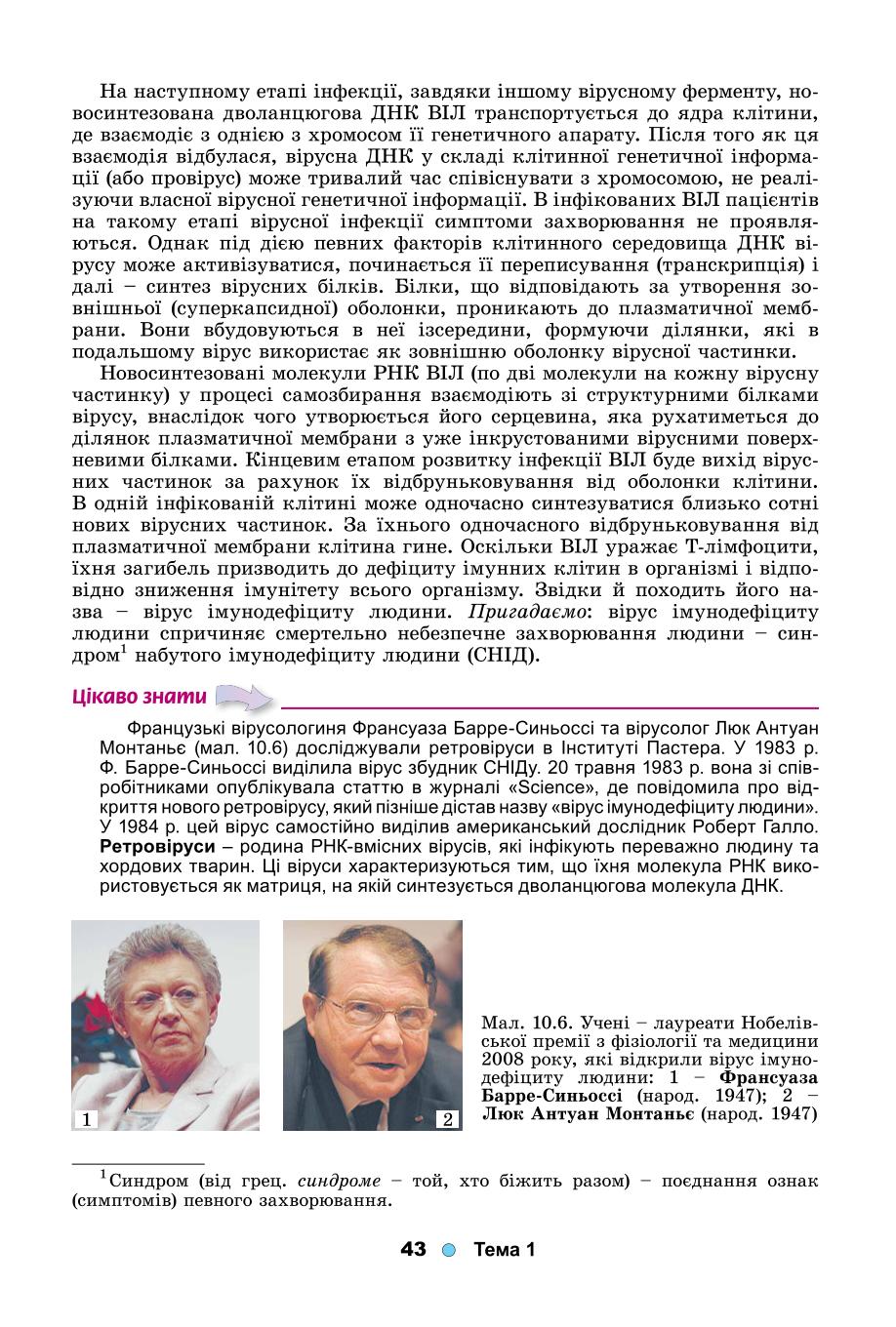 Мініатюра 43