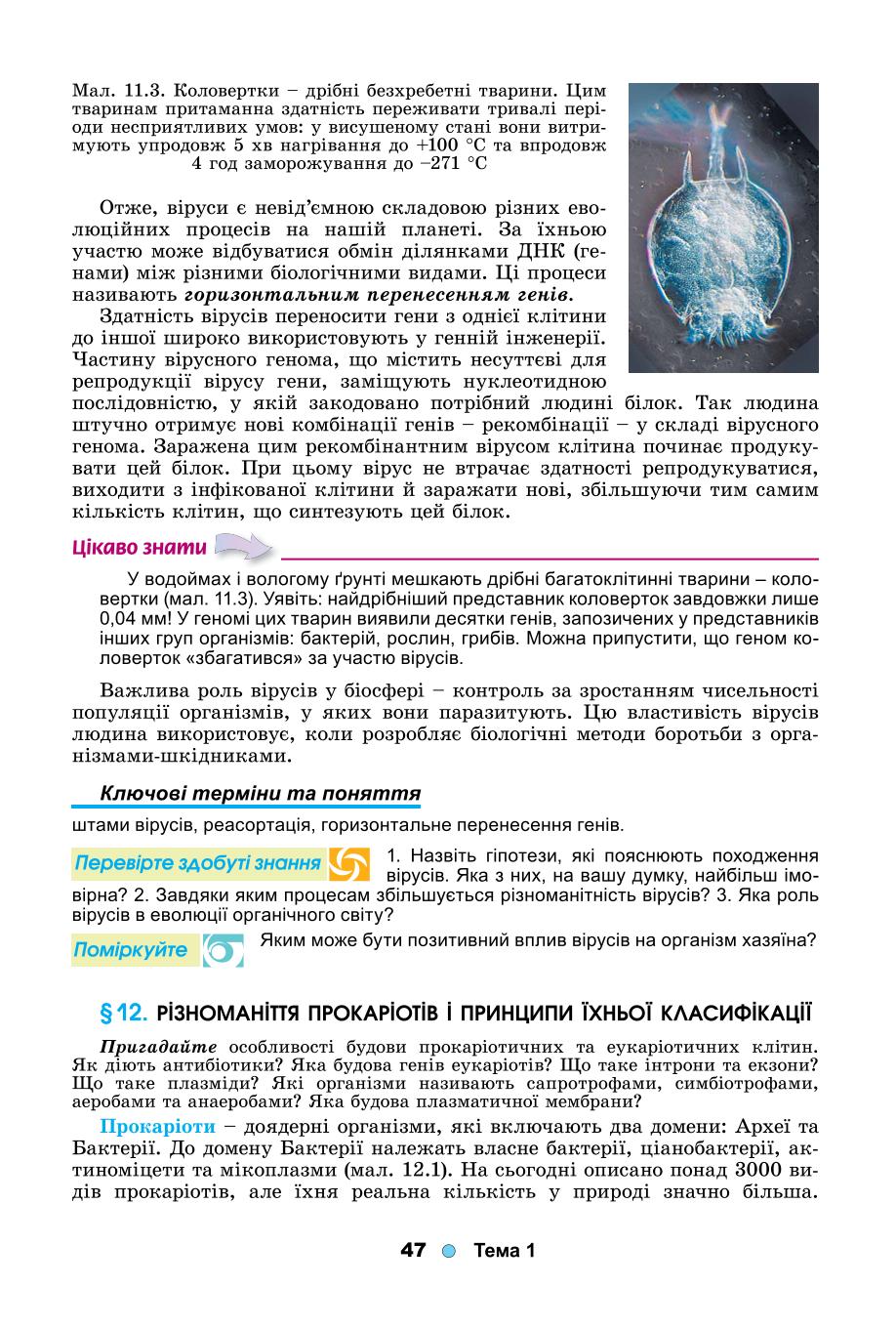 Мініатюра 47