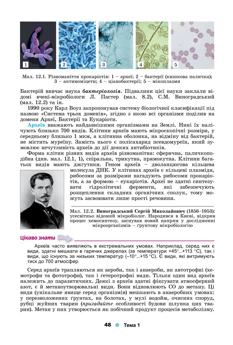 Мініатюра 48