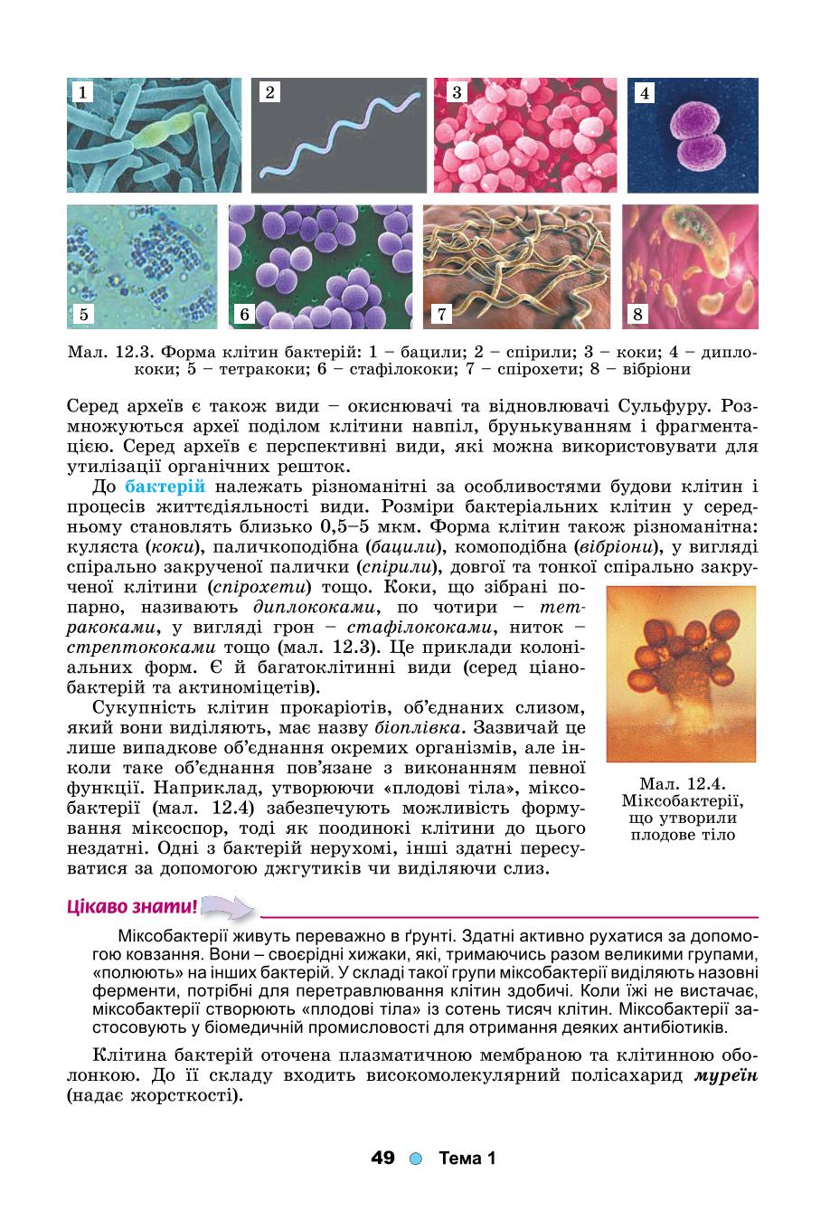 Мініатюра 49