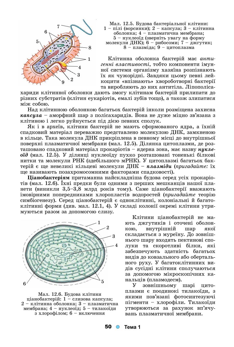 Мініатюра 50