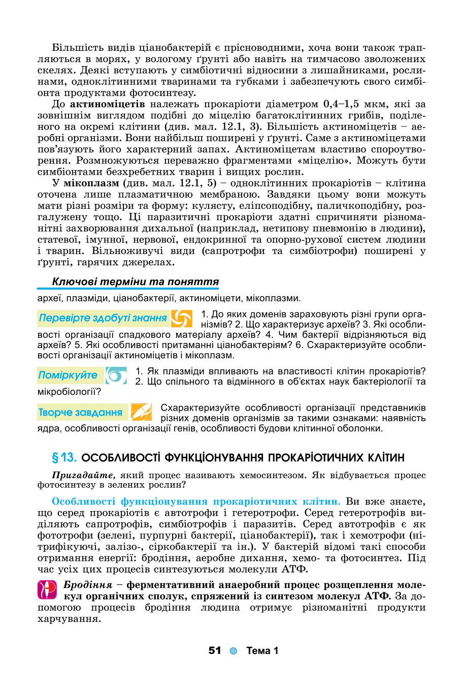Мініатюра 51