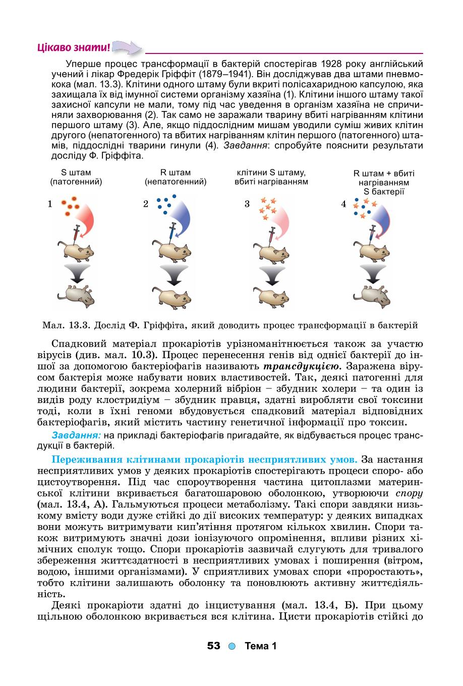 Мініатюра 53