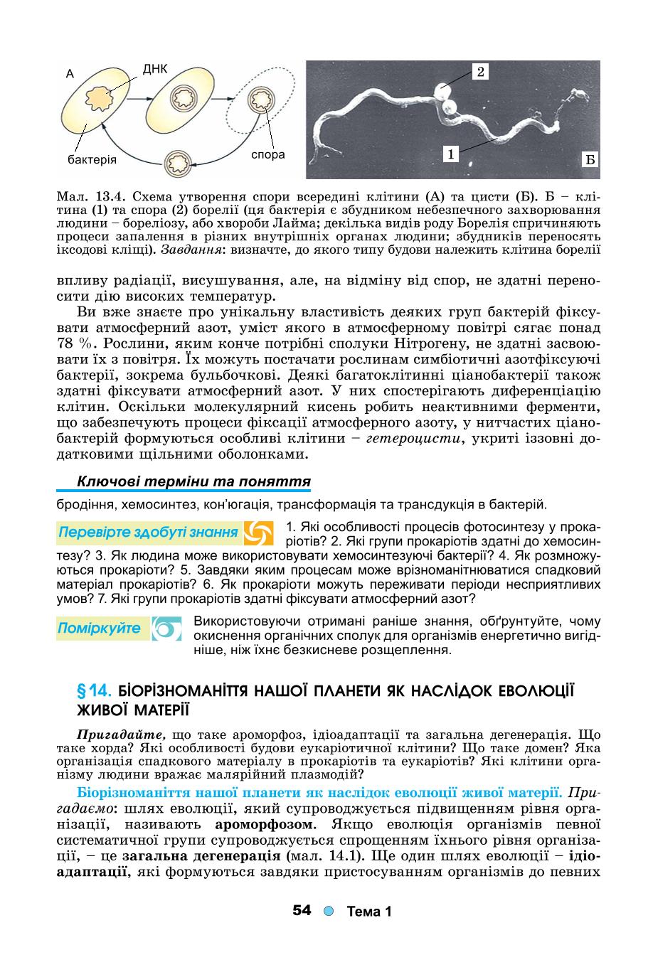 Мініатюра 54