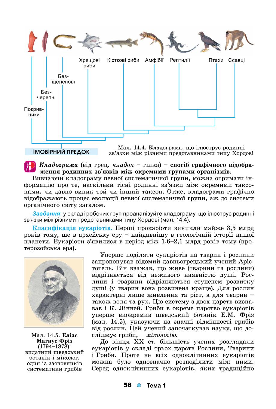 Мініатюра 56
