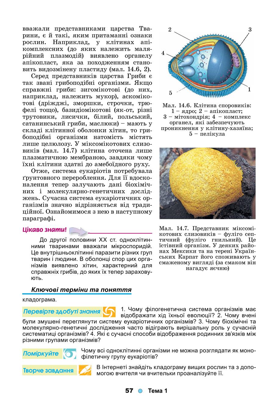 Мініатюра 57
