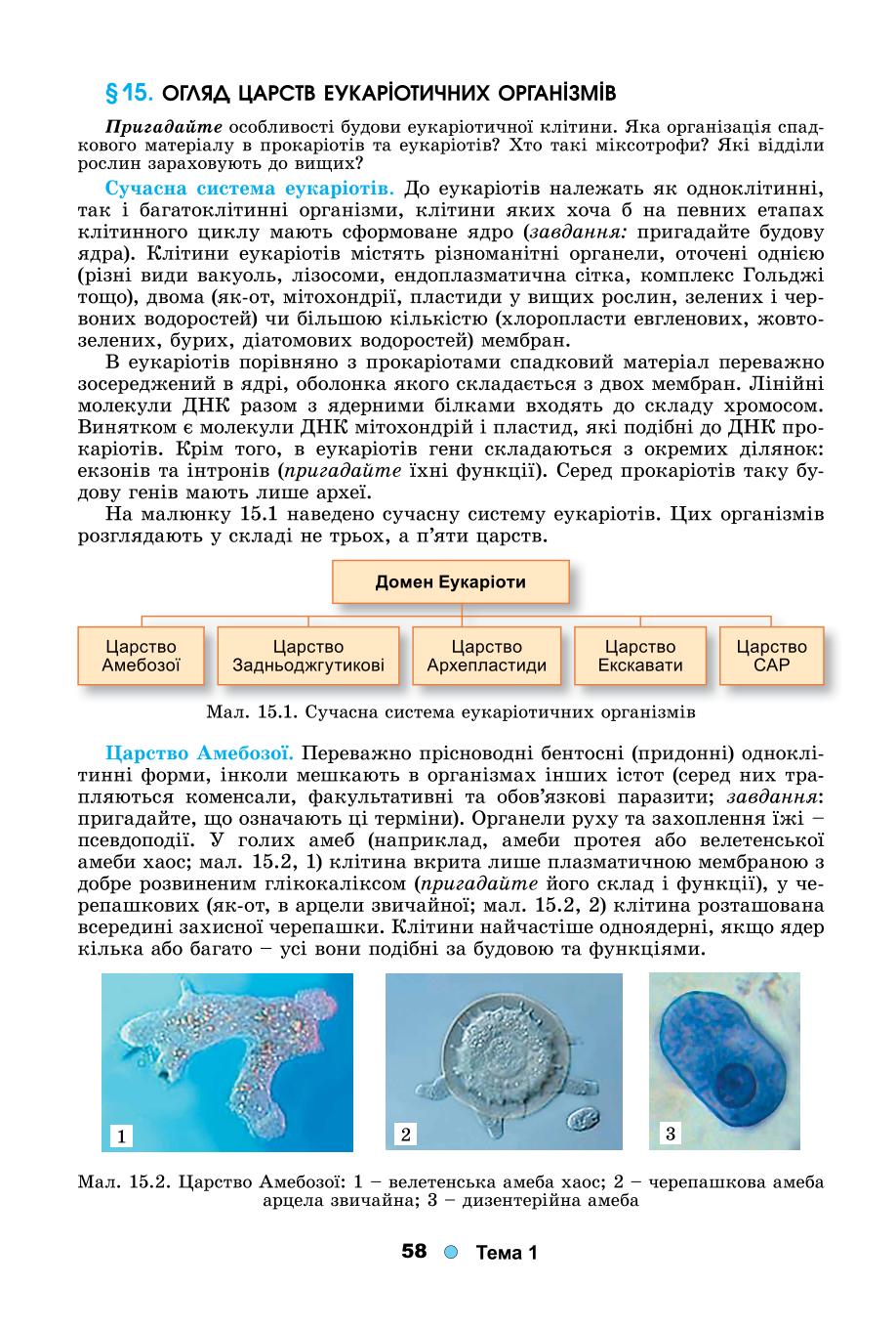 Мініатюра 58