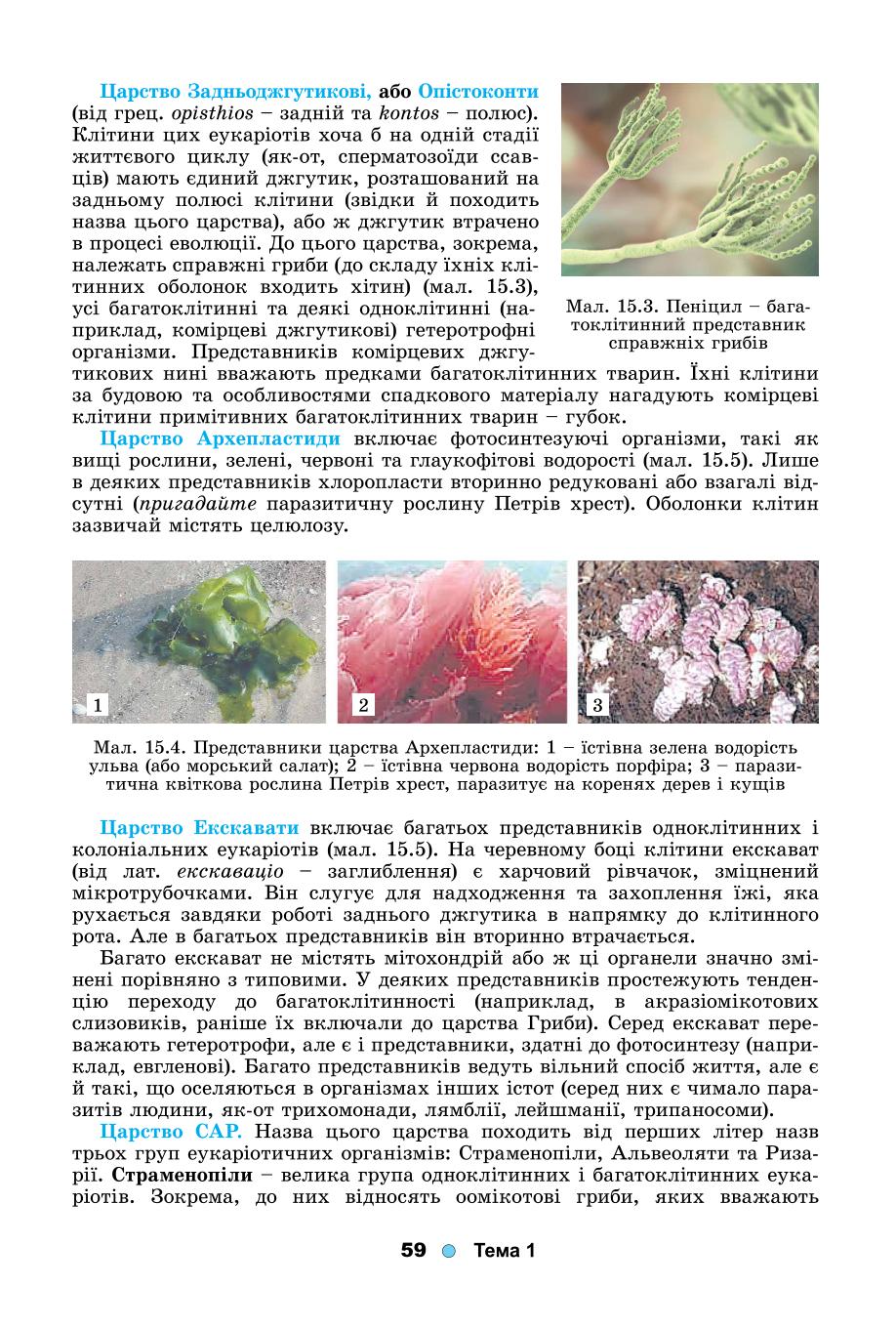 Мініатюра 59