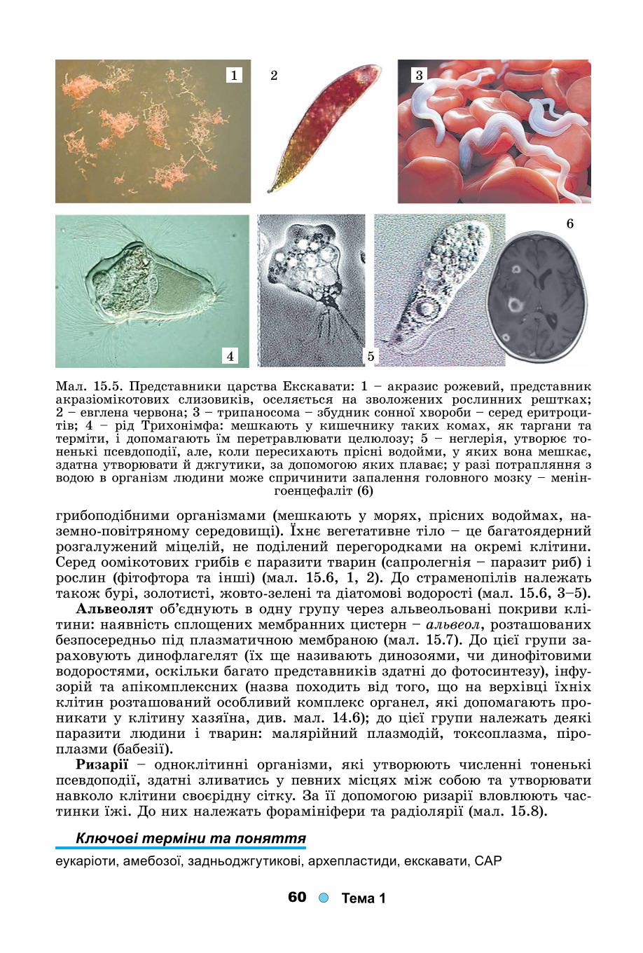Мініатюра 60