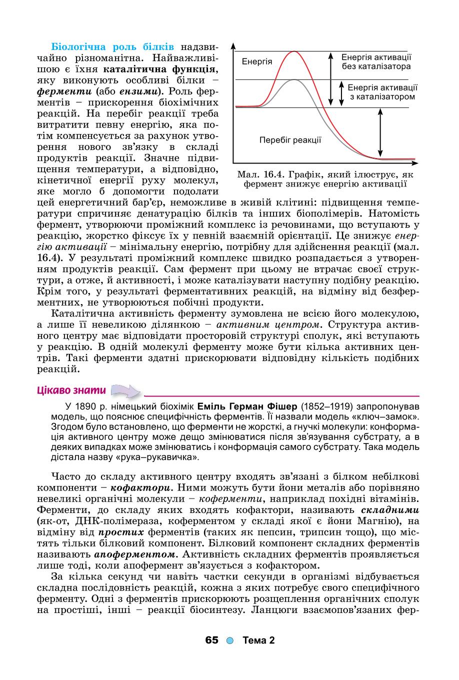 Мініатюра 65