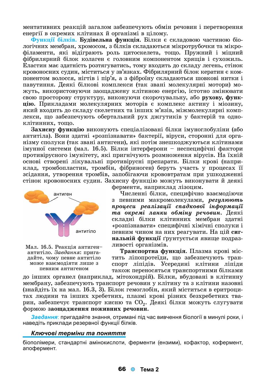 Мініатюра 66