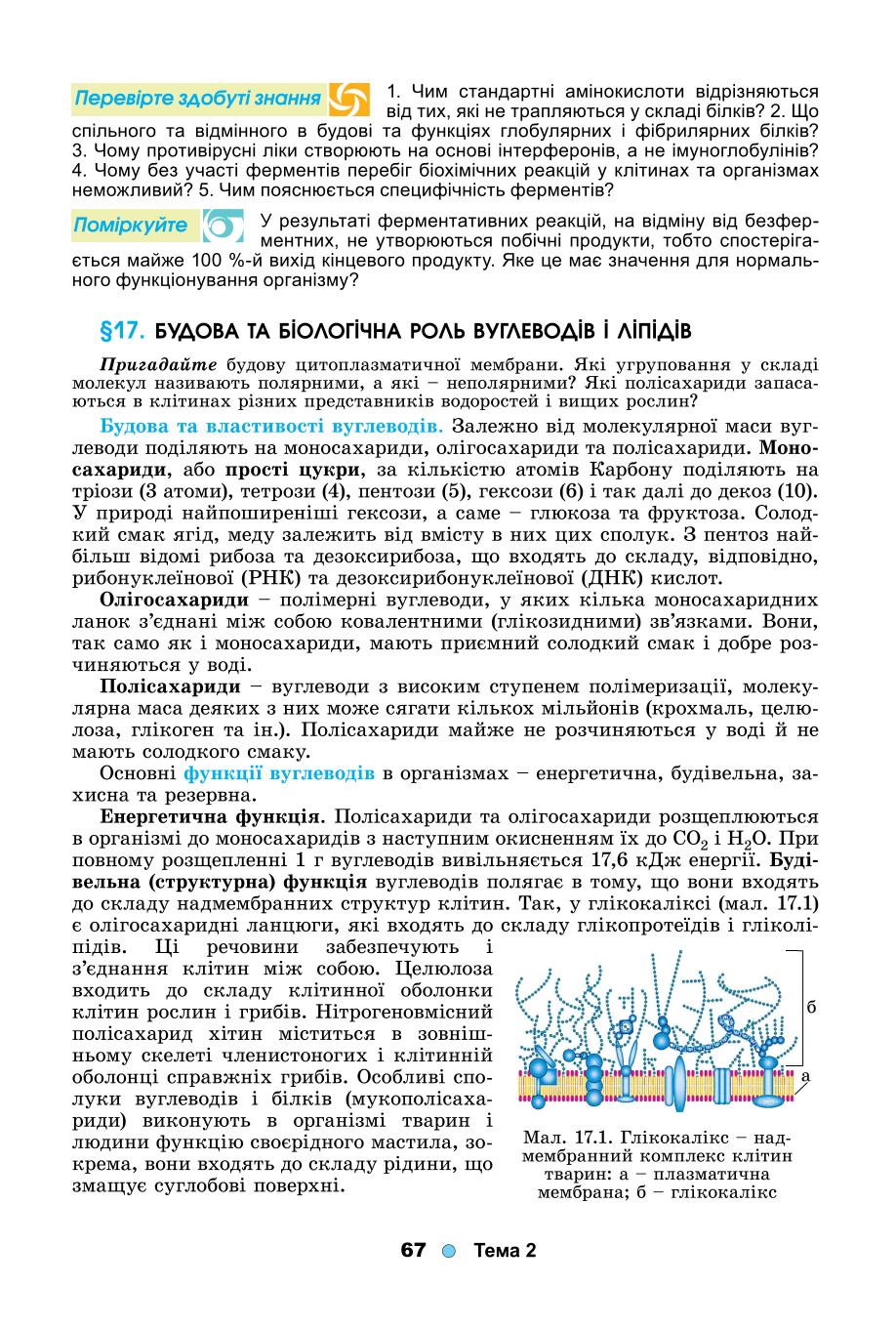 Мініатюра 67