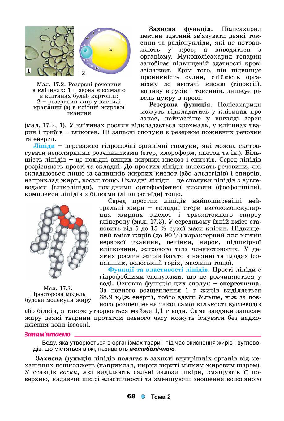 Мініатюра 68