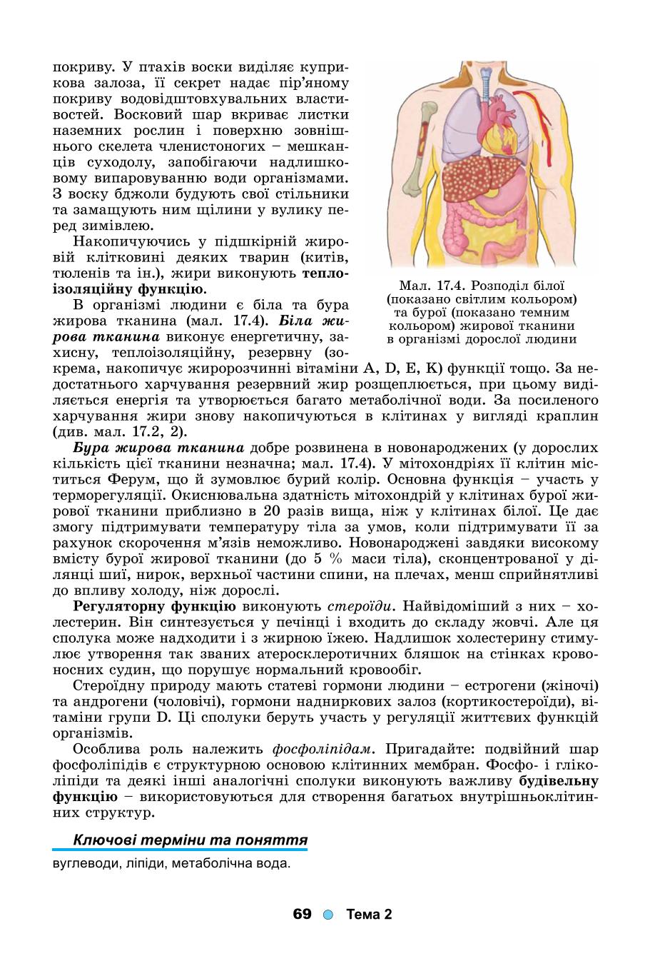 Мініатюра 69