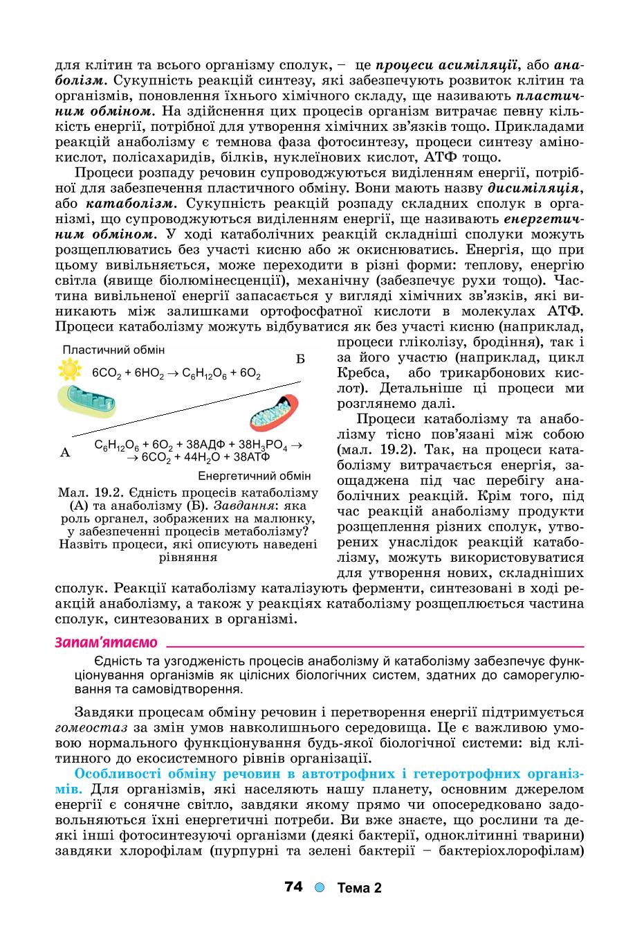 Мініатюра 74