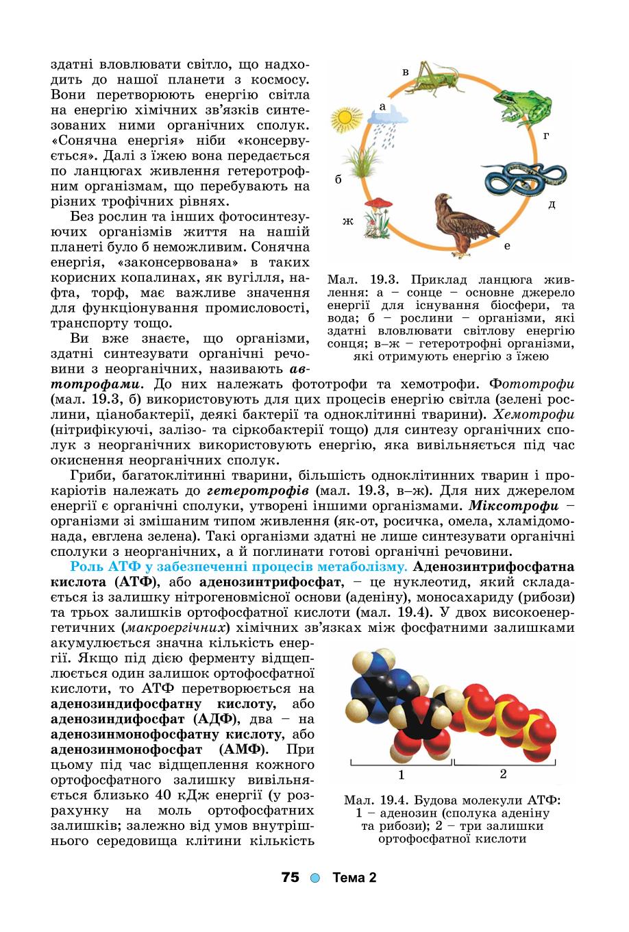 Мініатюра 75