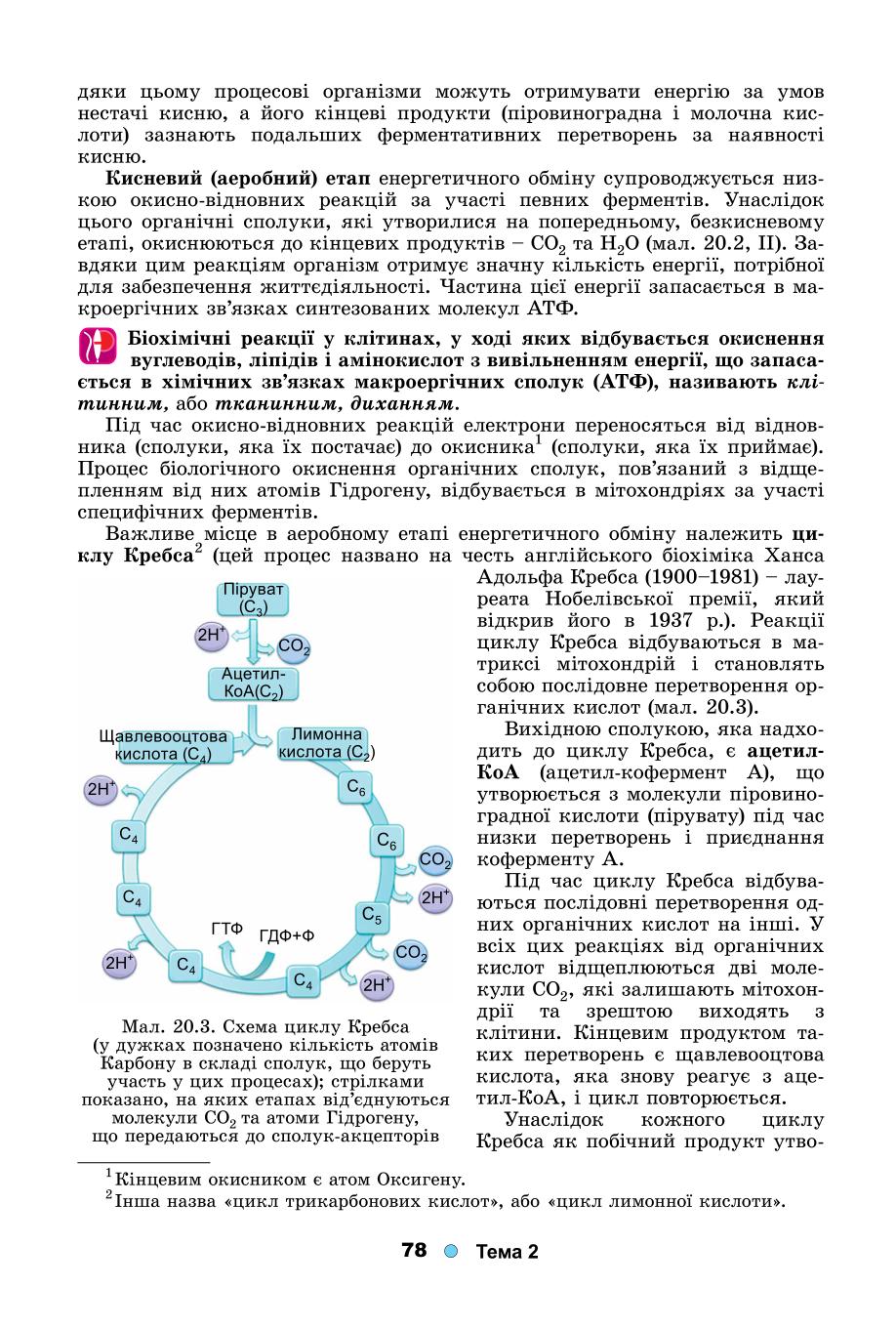 Мініатюра 78