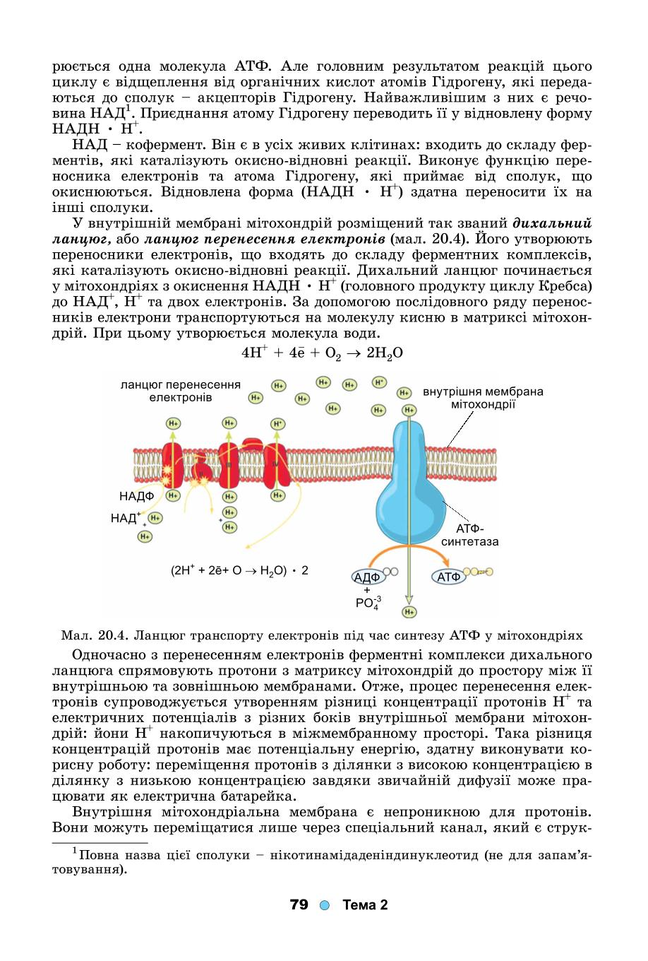 Мініатюра 79