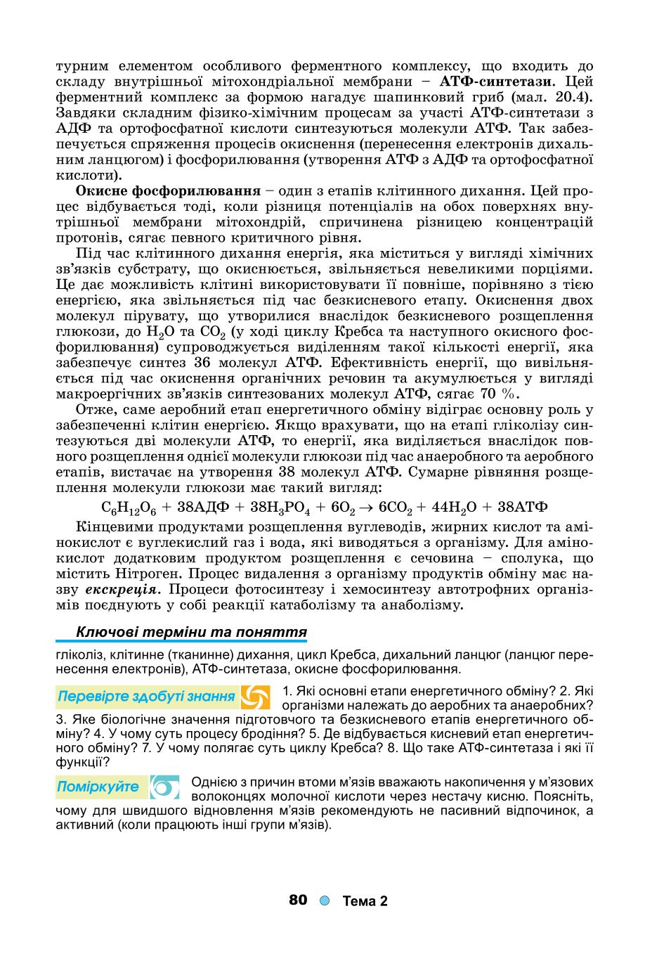 Мініатюра 80
