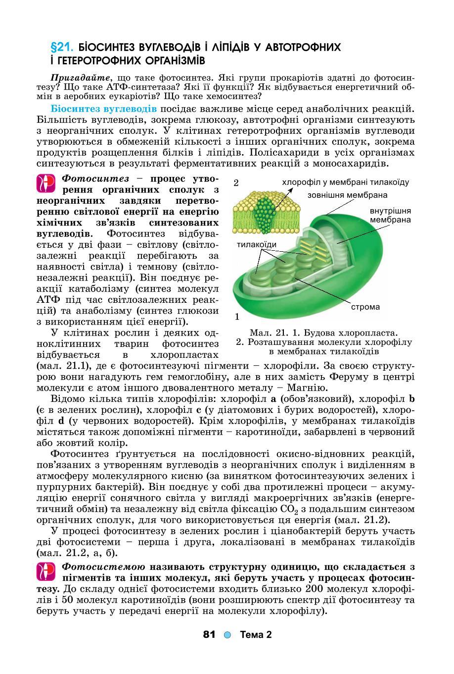 Мініатюра 81