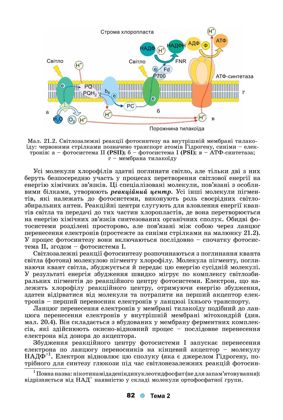 Мініатюра 82