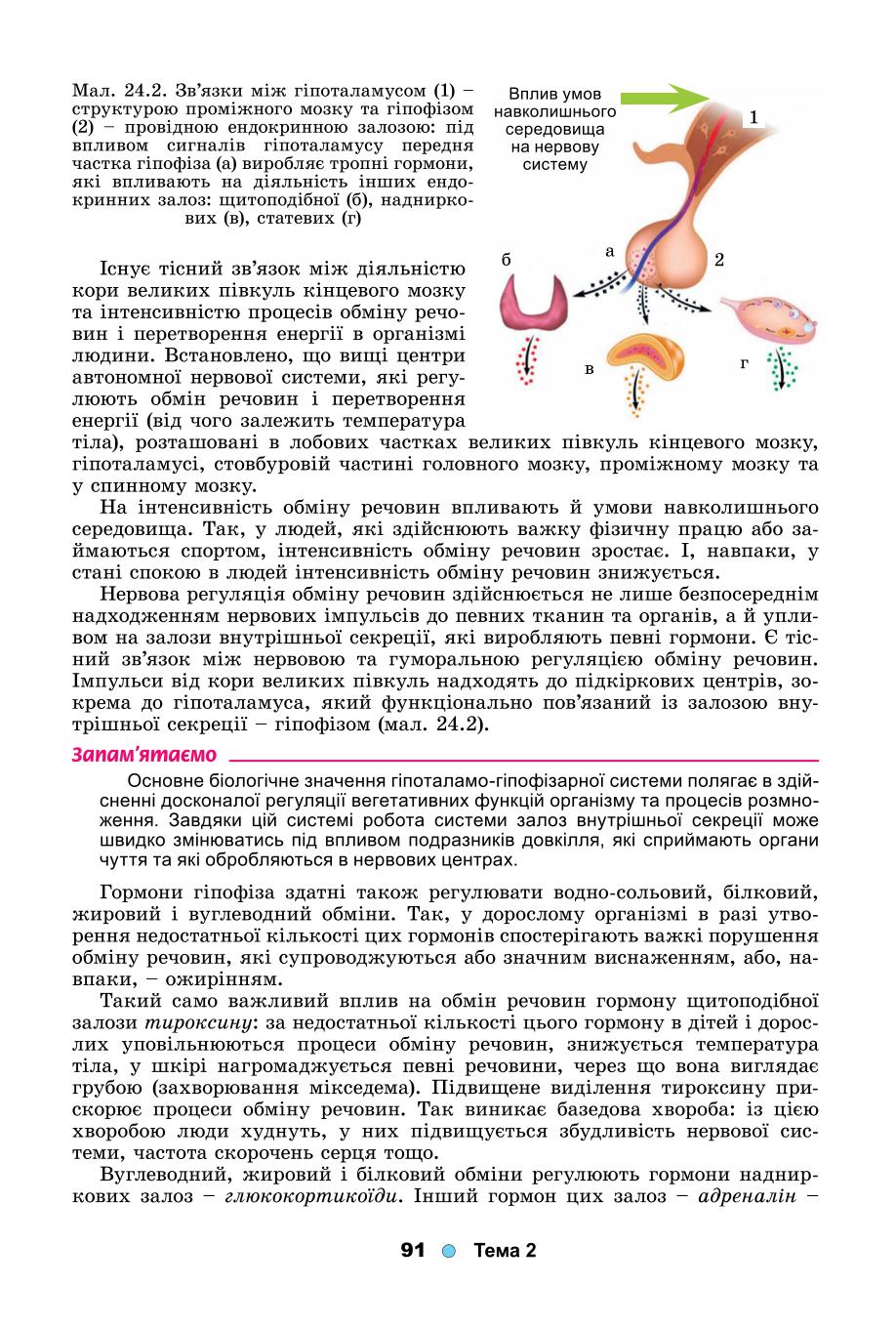 Мініатюра 91