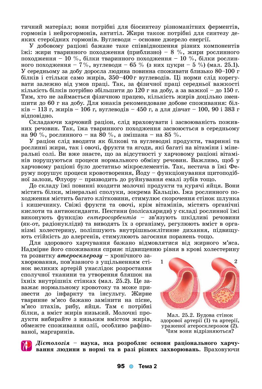 Мініатюра 95