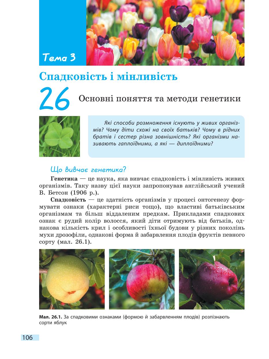 Мініатюра 106