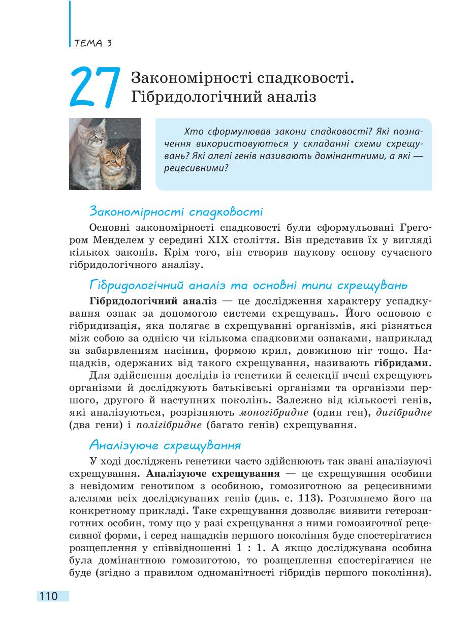 Мініатюра 110