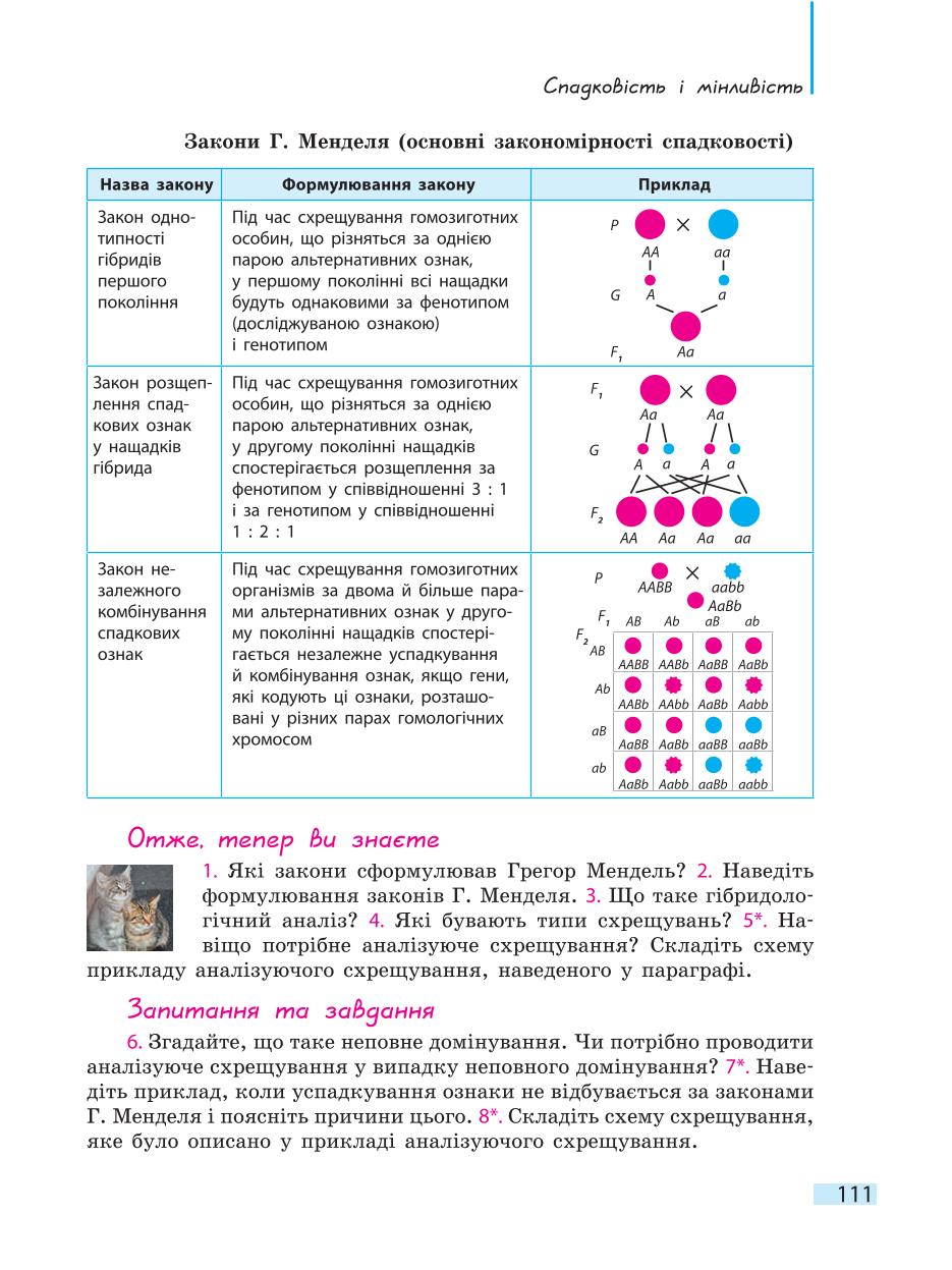 Мініатюра 111
