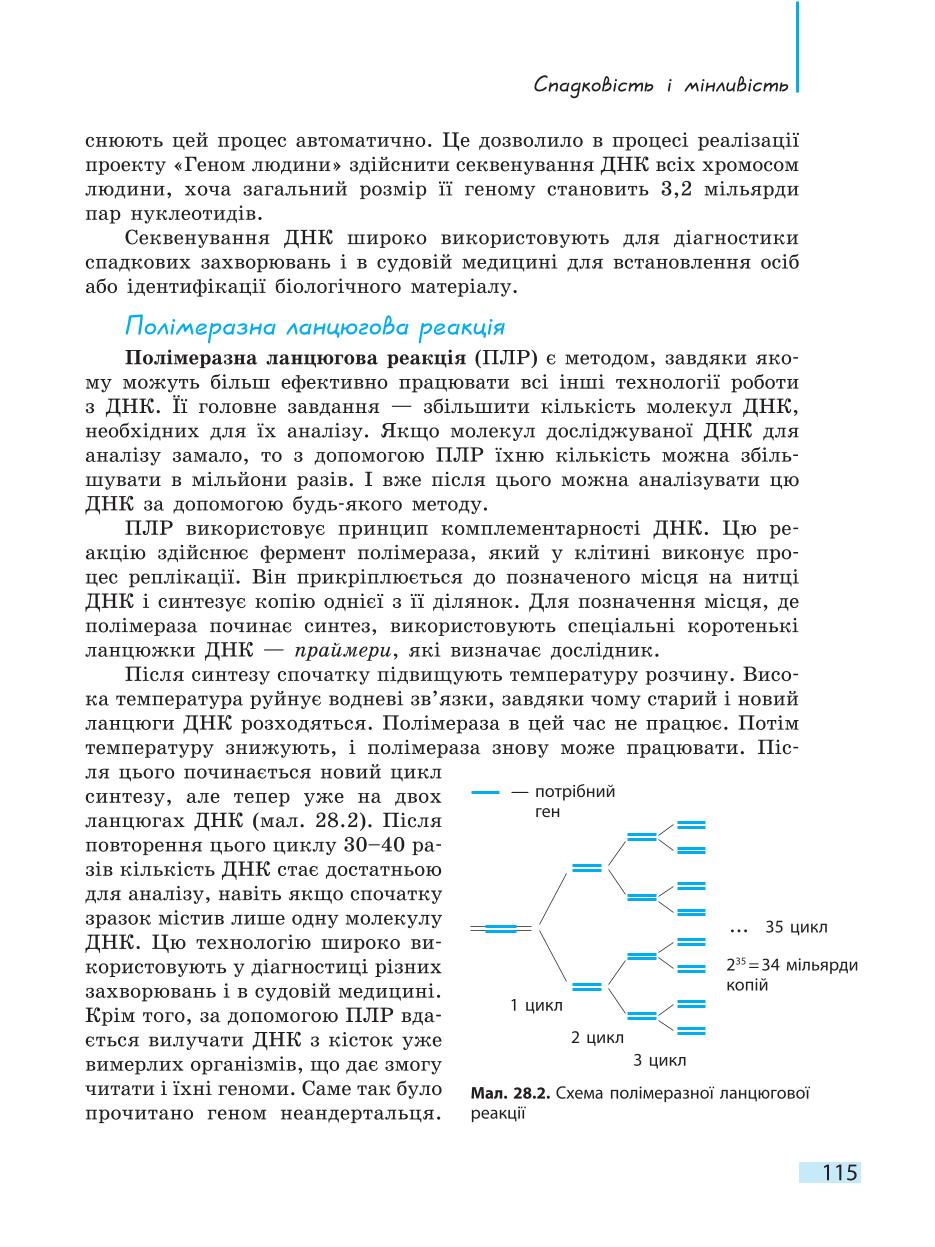 Мініатюра 115