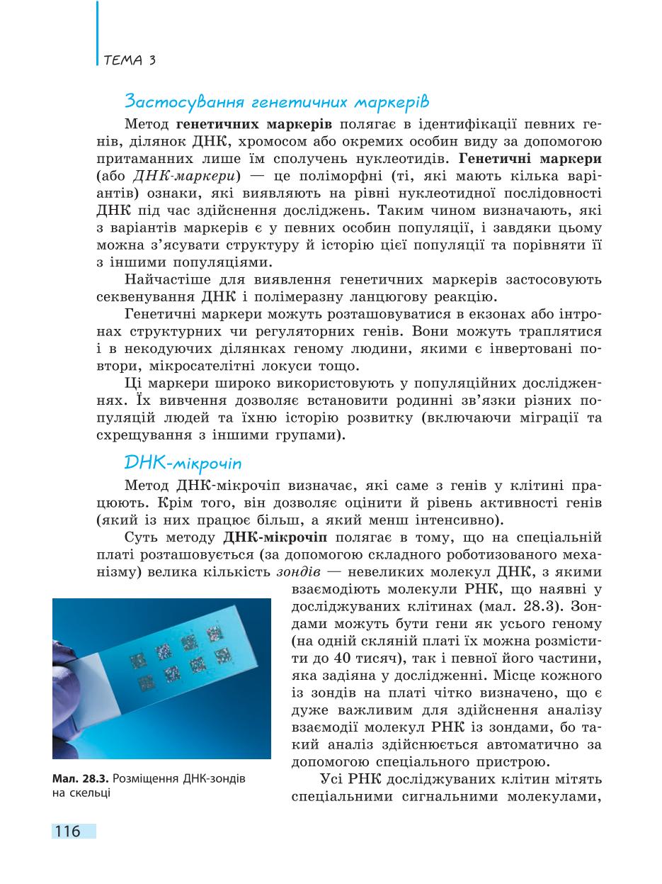 Мініатюра 116