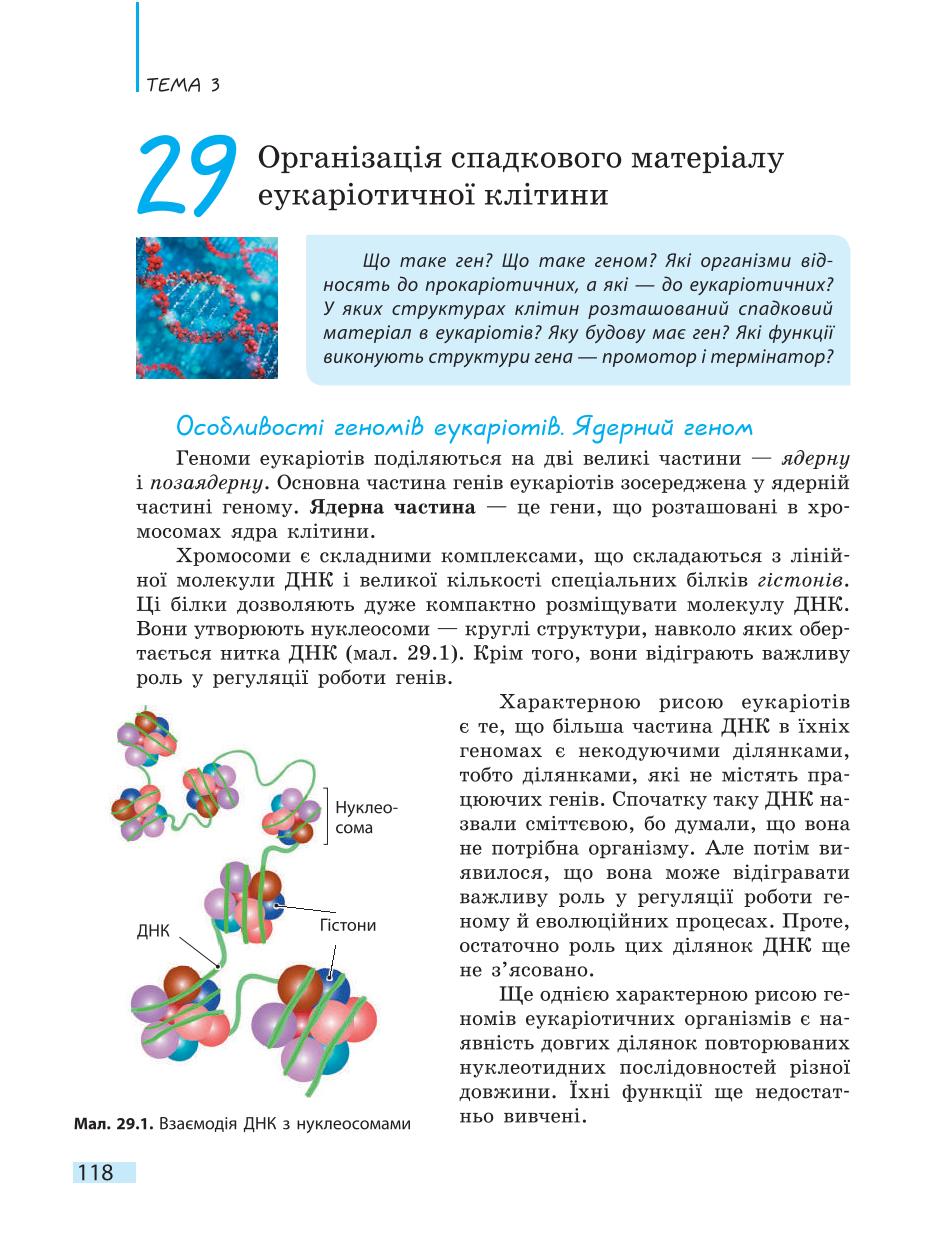Мініатюра 118