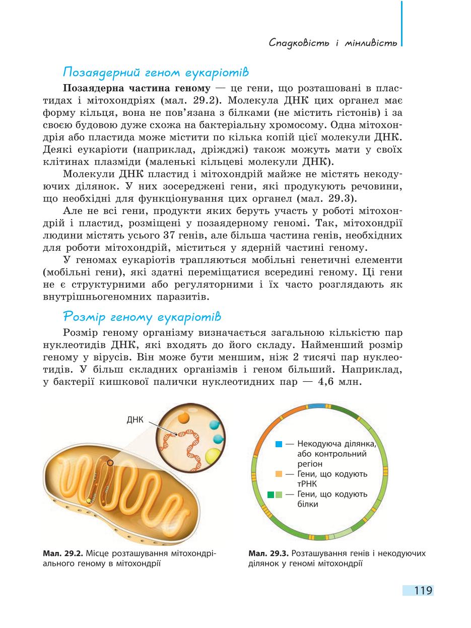 Мініатюра 119