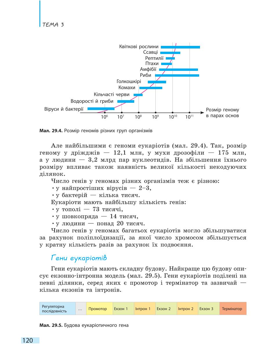 Мініатюра 120