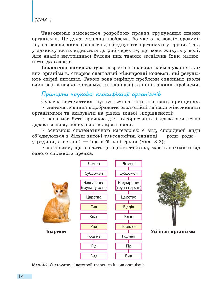 Мініатюра 14