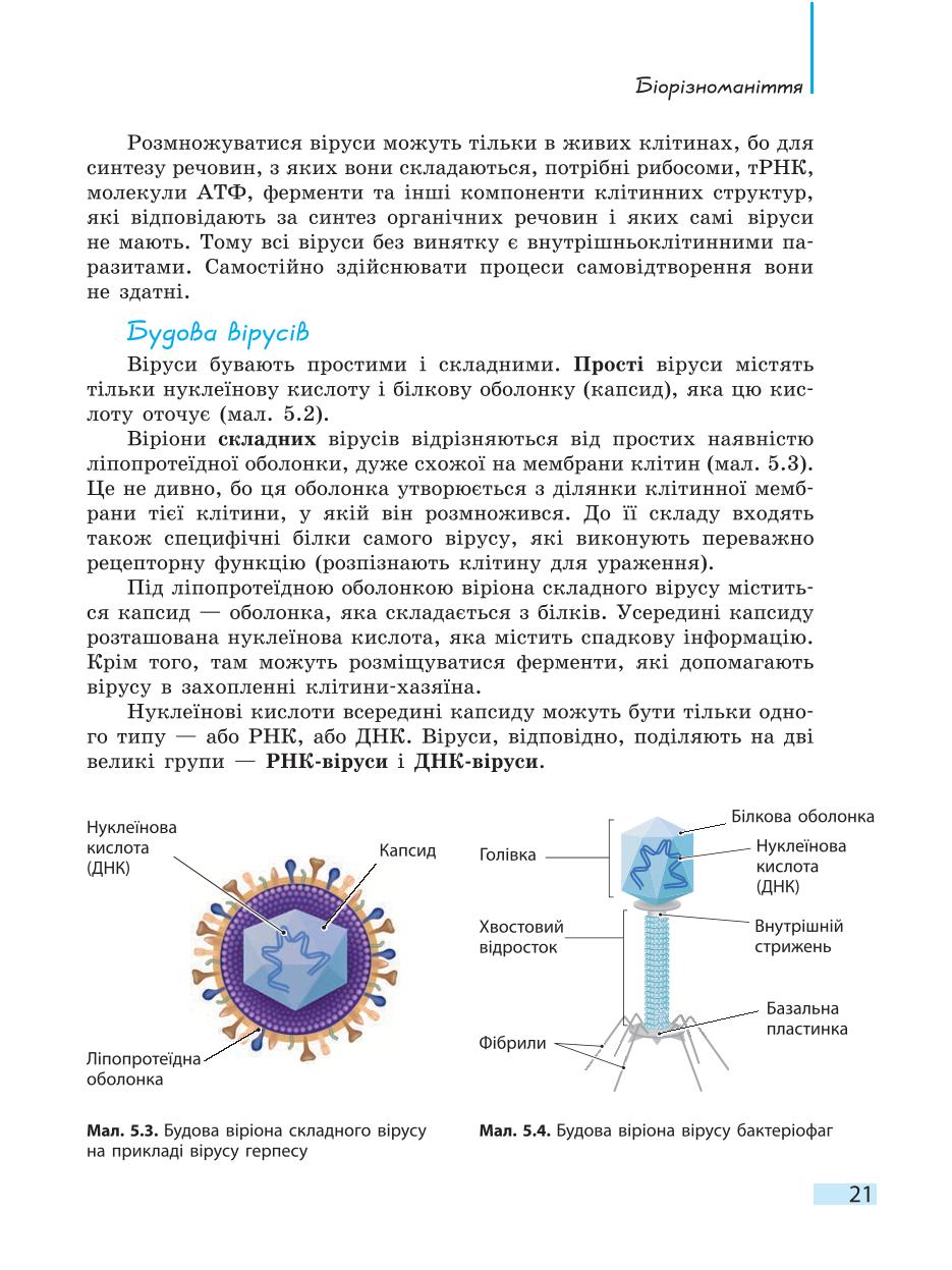 Мініатюра 21