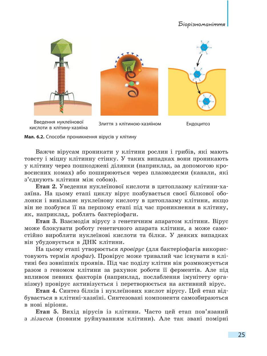 Мініатюра 25