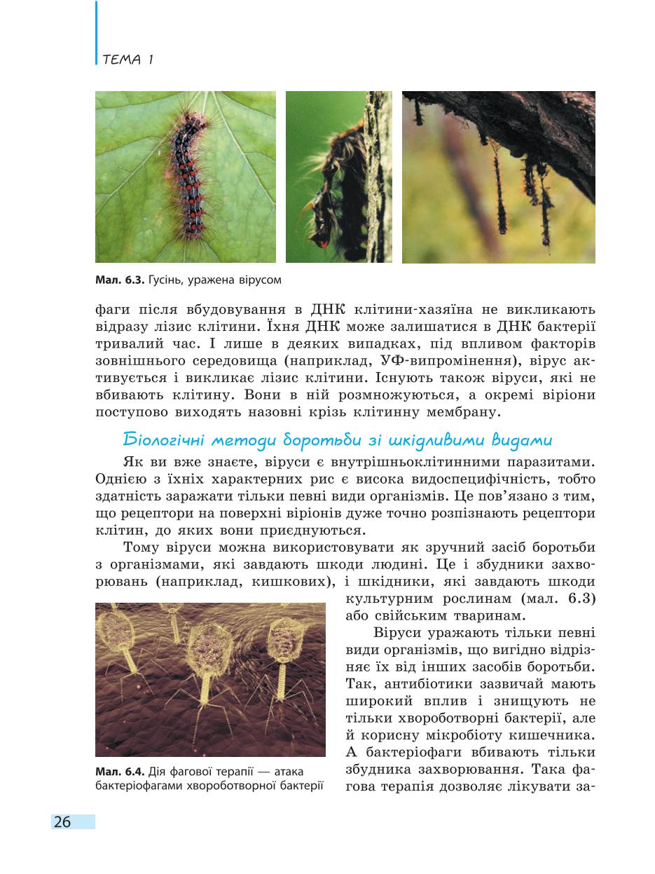 Мініатюра 26