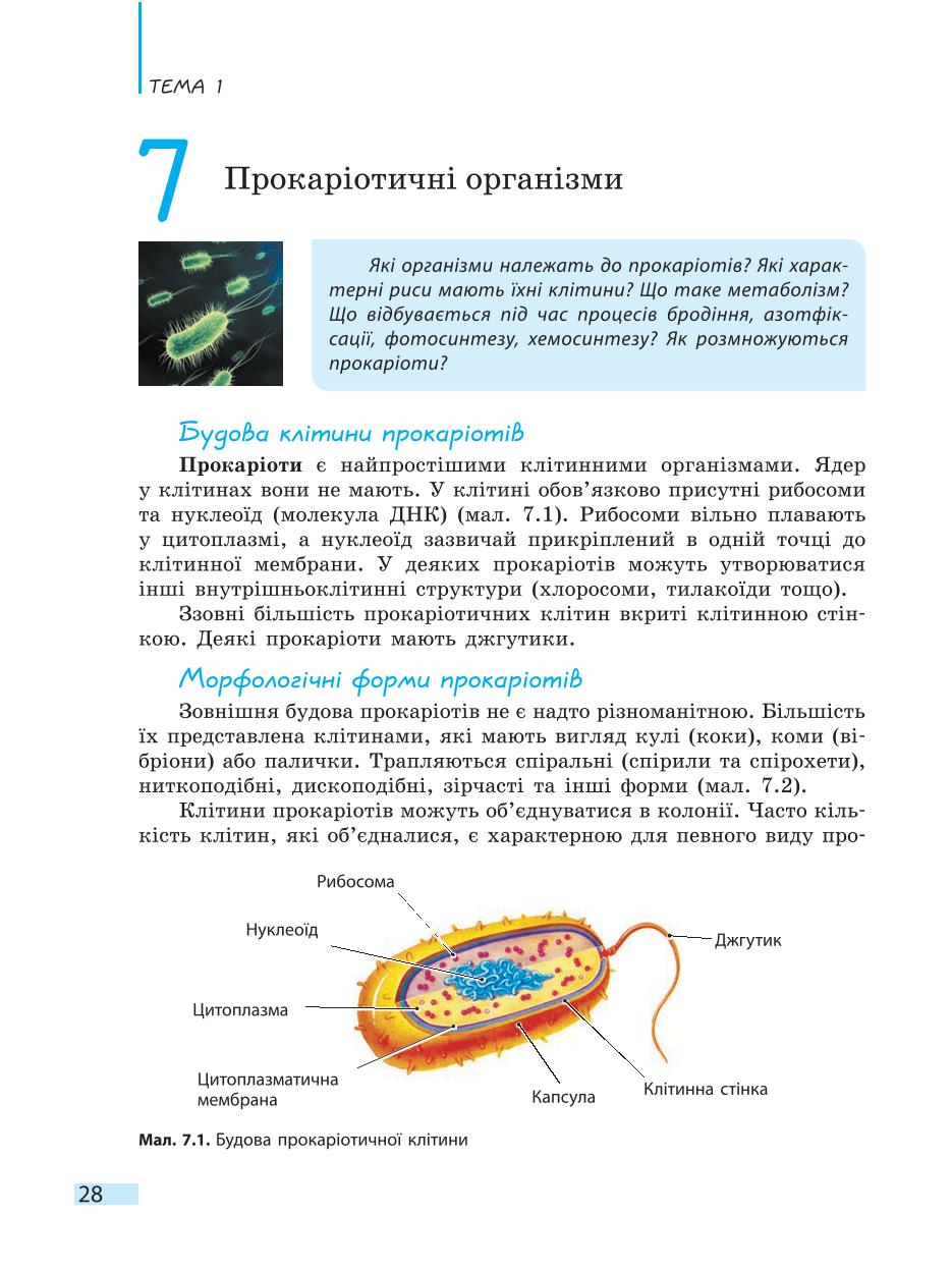 Мініатюра 28