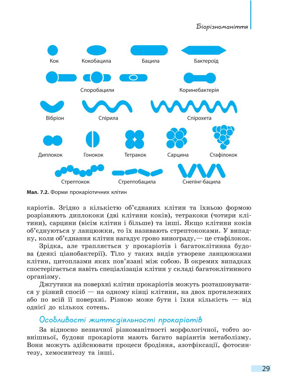 Мініатюра 29