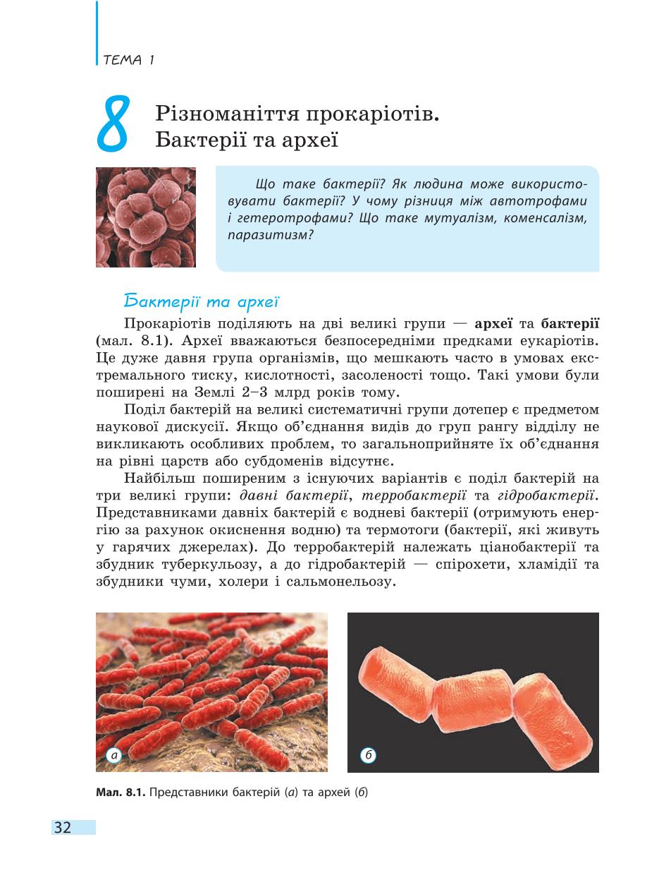 Мініатюра 32