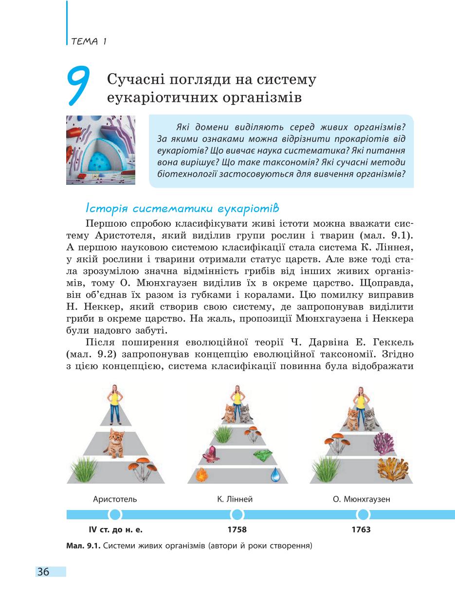 Мініатюра 36