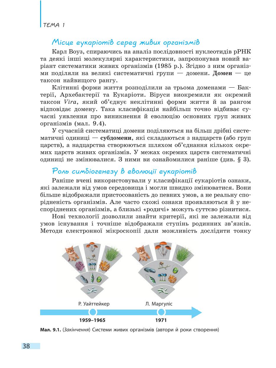 Мініатюра 38