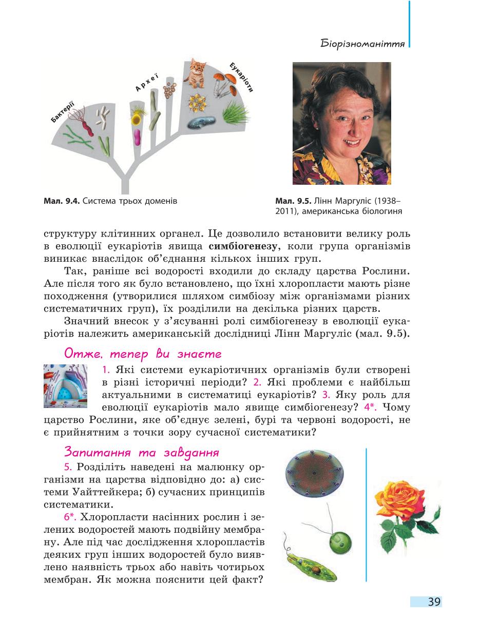 Мініатюра 39