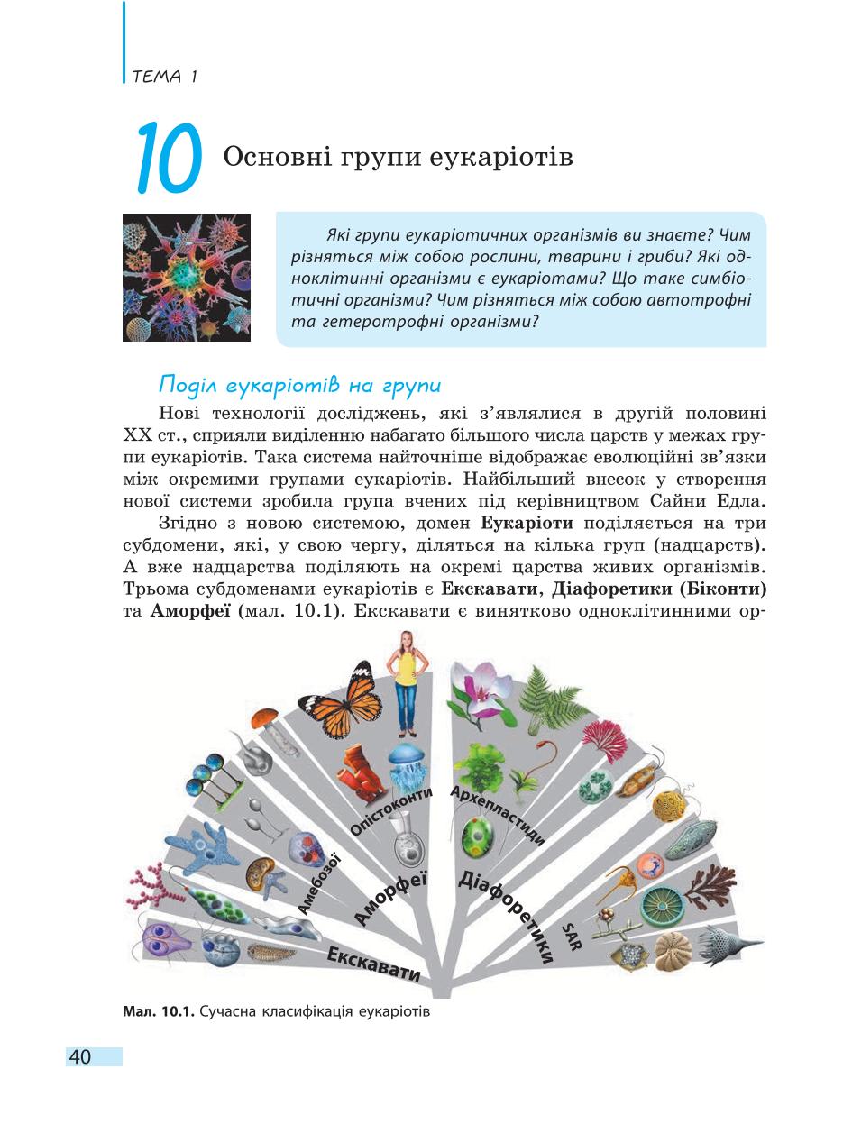 Мініатюра 40