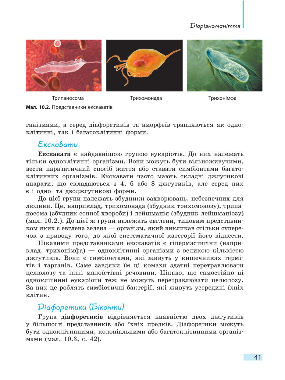 Мініатюра 41