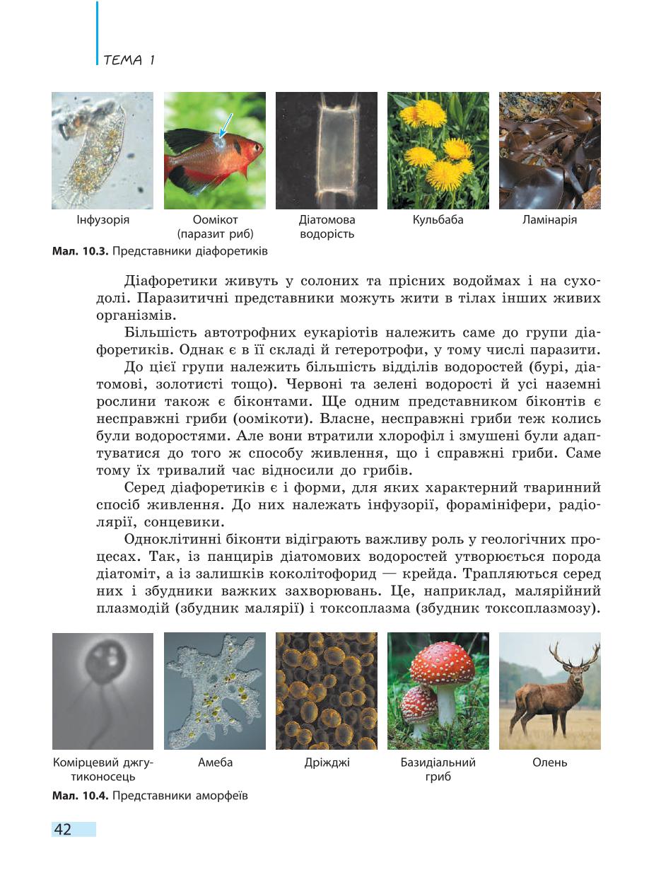 Мініатюра 42