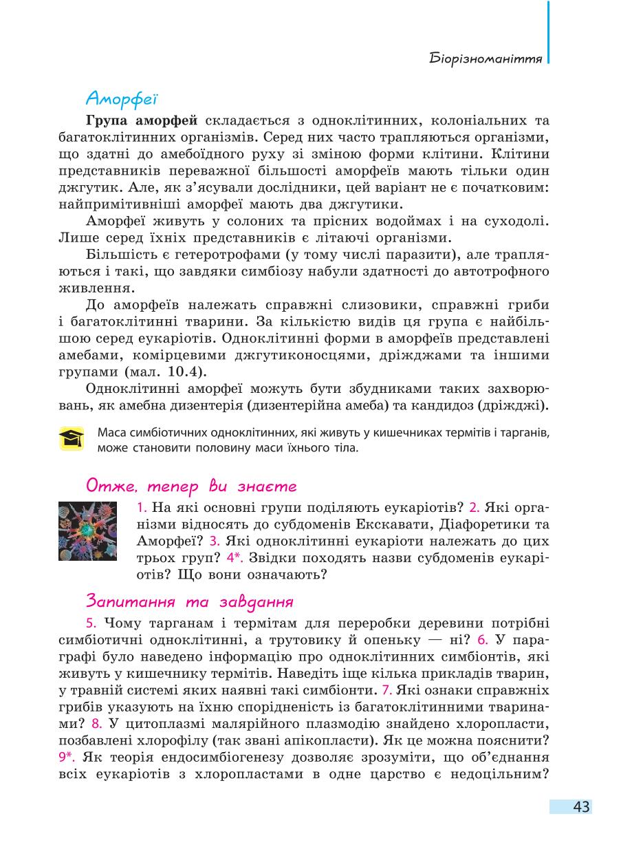 Мініатюра 43