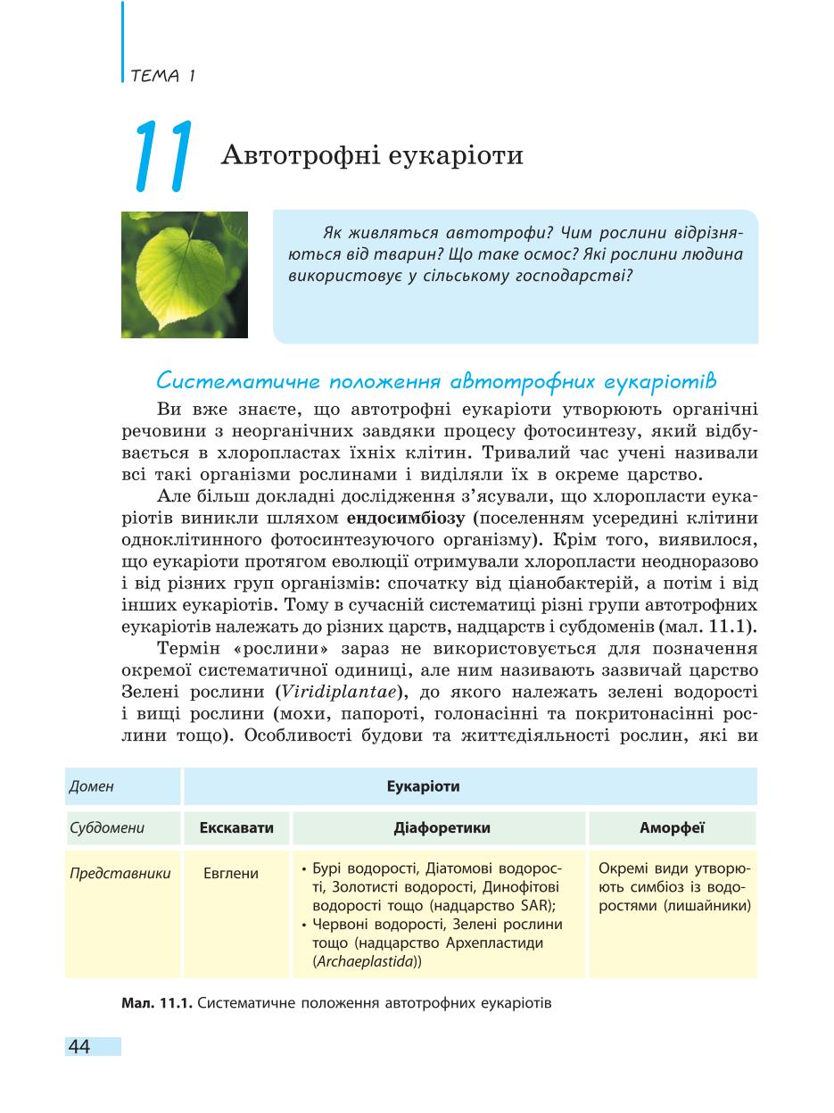 Мініатюра 44